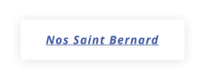 Nos Saint Bernard